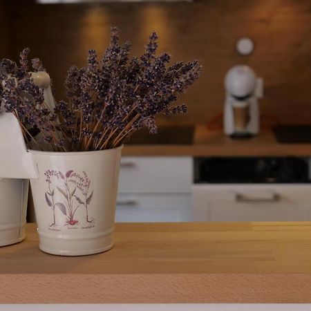 Ferienwohnung Gottleubapark Apartment Pirna Dış mekan fotoğraf