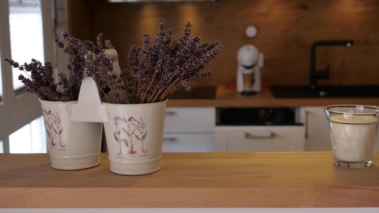 Ferienwohnung Gottleubapark Apartment Pirna Dış mekan fotoğraf