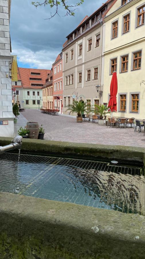 Ferienwohnung Gottleubapark Apartment Pirna Dış mekan fotoğraf